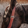 ranch hand breast collar western headstall weaver leather bridle NRS headstall (27)
