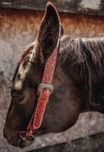 ranch hand breast collar western headstall weaver leather bridle NRS headstall (27)