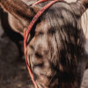ranch hand breast collar western headstall weaver leather bridle NRS headstall (28)