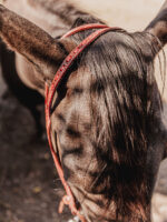 ranch hand breast collar western headstall weaver leather bridle NRS headstall (28)