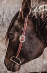 ranch hand breast collar western headstall weaver leather bridle NRS headstall (29)