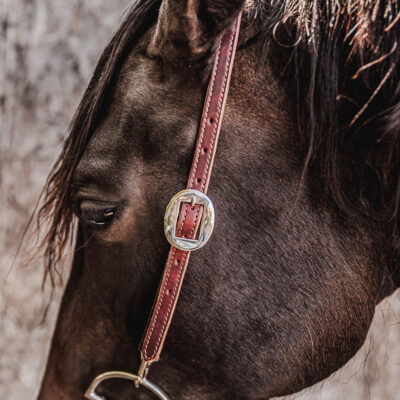 ranch hand breast collar western headstall weaver leather bridle NRS headstall (29)