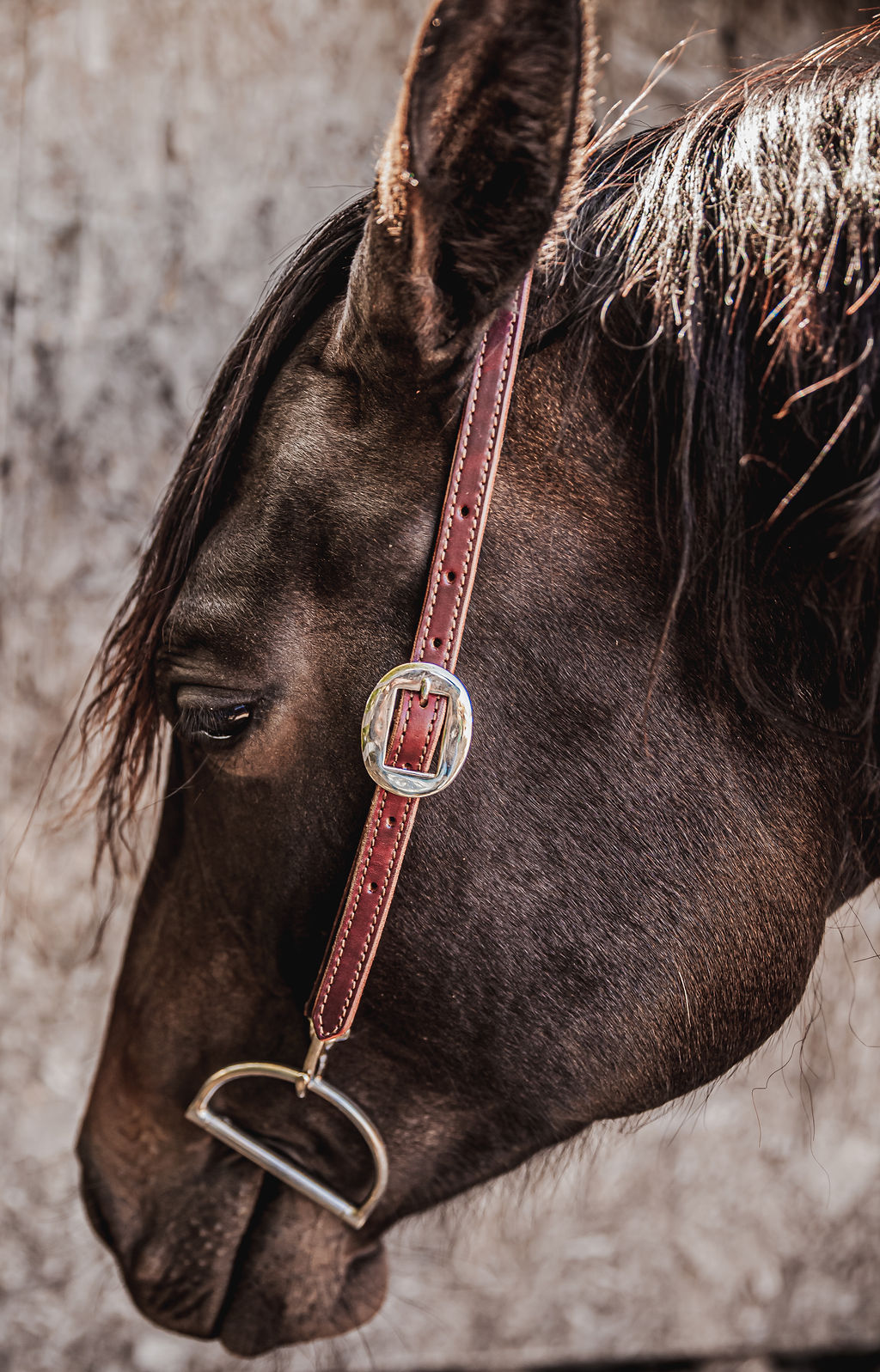 ranch hand breast collar western headstall weaver leather bridle NRS headstall (29)
