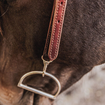 ranch hand breast collar western headstall weaver leather bridle NRS headstall (30)