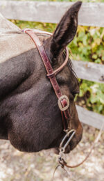 ranch hand breast collar western headstall weaver leather bridle NRS headstall (31)