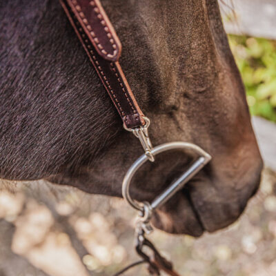 ranch hand breast collar western headstall weaver leather bridle NRS headstall (32)