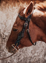 ranch hand breast collar western headstall weaver leather bridle NRS headstall (33)