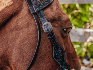 ranch hand breast collar western headstall weaver leather bridle NRS headstall (36)