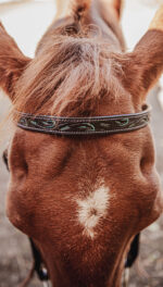 ranch hand breast collar western headstall weaver leather bridle NRS headstall (37)
