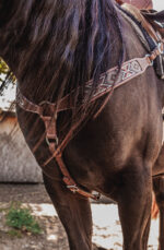 ranch hand breast collar western headstall weaver leather bridle NRS headstall (44)