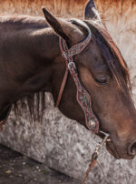 ranch hand breast collar western headstall weaver leather bridle NRS headstall (49)