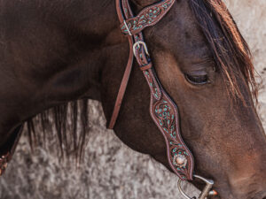 ranch hand breast collar western headstall weaver leather bridle NRS headstall (49)