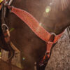 ranch hand breast collar western headstall weaver leather bridle NRS headstall (64)