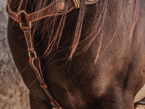 ranch hand breast collar western headstall weaver leather bridle NRS headstall (70)