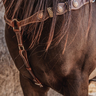 ranch hand breast collar western headstall weaver leather bridle NRS headstall (70)