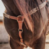 Leopard Print Beaded Breast Collar - Beaded Breast Collar - view 7