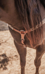 ranch hand breast collar western headstall weaver leather bridle NRS headstall (88)