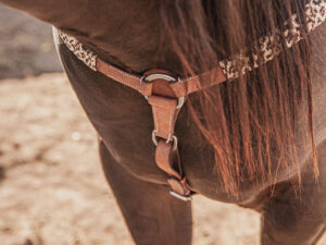 ranch hand breast collar western headstall weaver leather bridle NRS headstall (88)