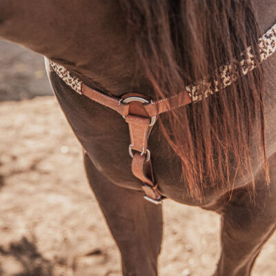 ranch hand breast collar western headstall weaver leather bridle NRS headstall (88)