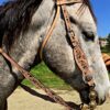 Turquoise Breeze Browband Headstall - view 11