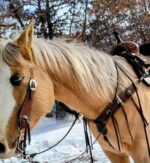 rough out western headstall cowboy shit western tack bridle breast collar roughout leather (31)