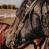 Yellow Sunflower Browband Headstall - Black Leather Western Bridle - view 3
