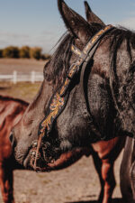 western headstall leather bridle browband sunflower bridle ranch hand (10)