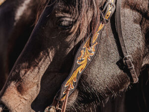 western headstall leather bridle browband sunflower bridle ranch hand (11)