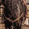 western headstall leather bridle browband sunflower bridle ranch hand (14)