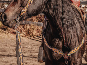 western headstall leather bridle browband sunflower bridle ranch hand (16)
