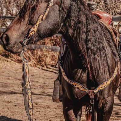 western headstall leather bridle browband sunflower bridle ranch hand (16)