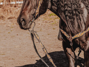 western headstall leather bridle browband sunflower bridle ranch hand (18)