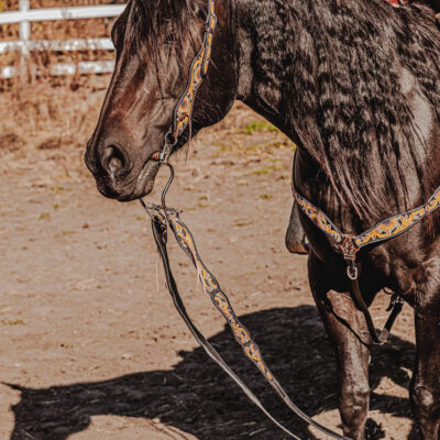 western headstall leather bridle browband sunflower bridle ranch hand (18)