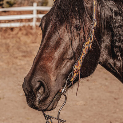 western headstall leather bridle browband sunflower bridle ranch hand (19)