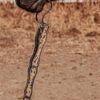 western split reins headstall leather bridle browband sunflower bridle ranch hand (20)