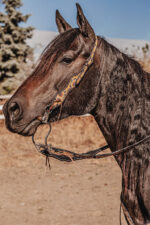 western headstall leather bridle browband sunflower bridle ranch hand (21)