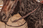 western headstall leather bridle browband sunflower bridle ranch hand (23)