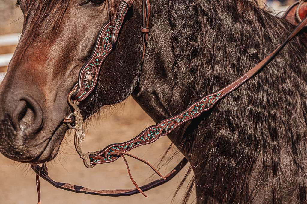 western headstall leather bridle browband sunflower bridle ranch hand (23)