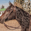 Turquoise Breeze - Weighted Leather Split Reins - view 9