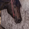 Basketweave Tooling - Split Ear Headstall - view 7