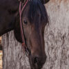 Basketweave Tooling - Split Ear Headstall - view 6