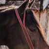 Basketweave Tooling - Split Ear Headstall