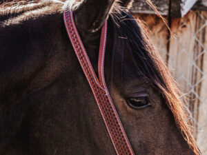 western headstall leather bridle browband sunflower bridle ranch hand (6)