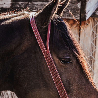 western headstall leather bridle browband sunflower bridle ranch hand (6)