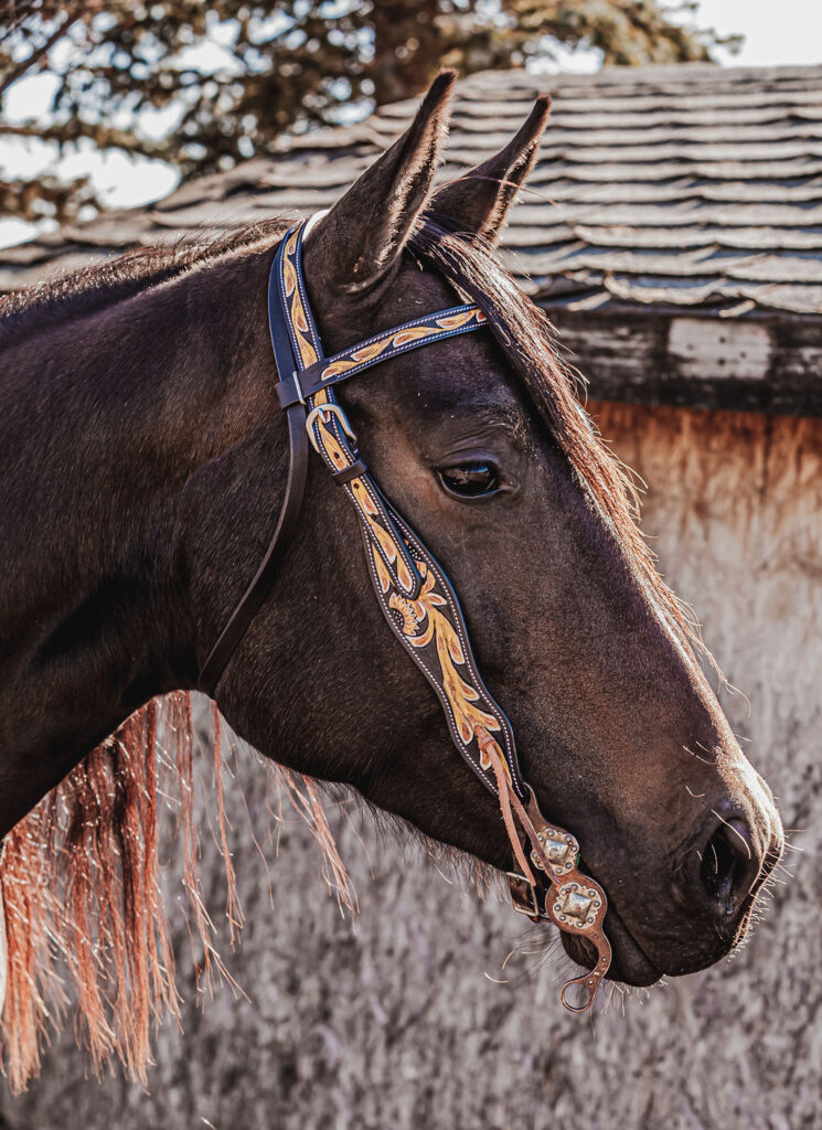western headstall leather bridle browband sunflower bridle ranch hand (7)
