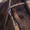 Yellow Sunflower Browband Headstall - Black Leather Western Bridle - view 5