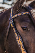 western headstall leather bridle browband sunflower bridle ranch hand (8)