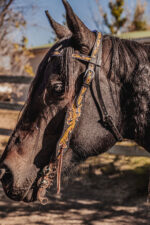 western headstall leather bridle browband sunflower bridle ranch hand (9)