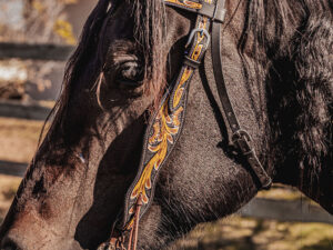 western headstall leather bridle browband sunflower bridle ranch hand (9)