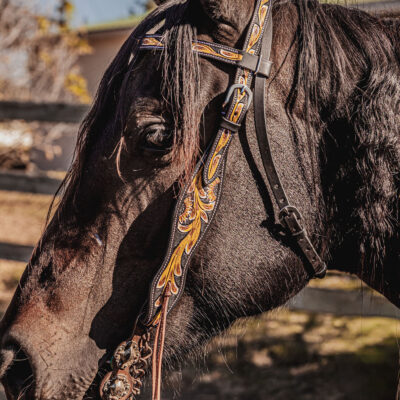 western headstall leather bridle browband sunflower bridle ranch hand (9)